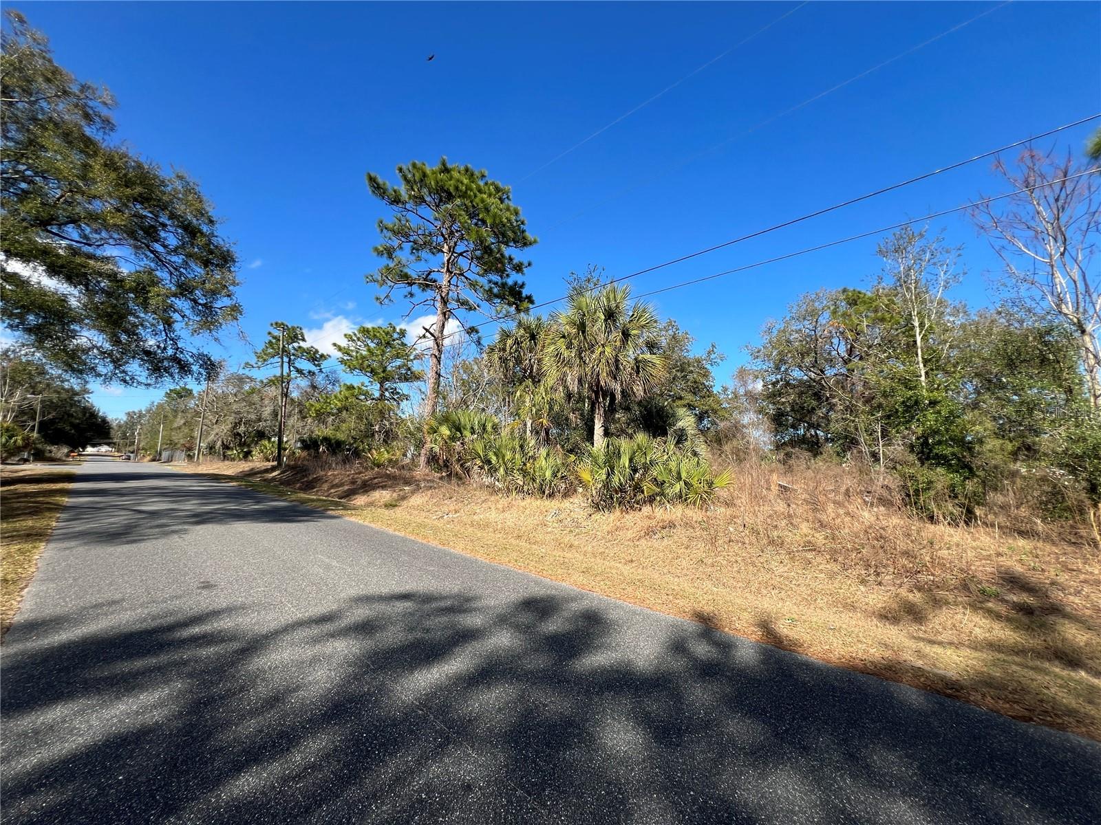 7280 Se 123rd Ln Property Photo 15