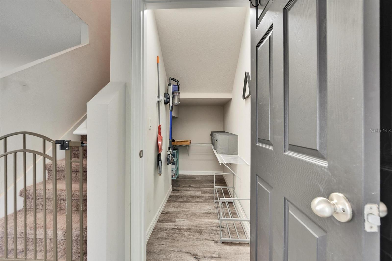 12818 Crested Iris Way Property Photo 19