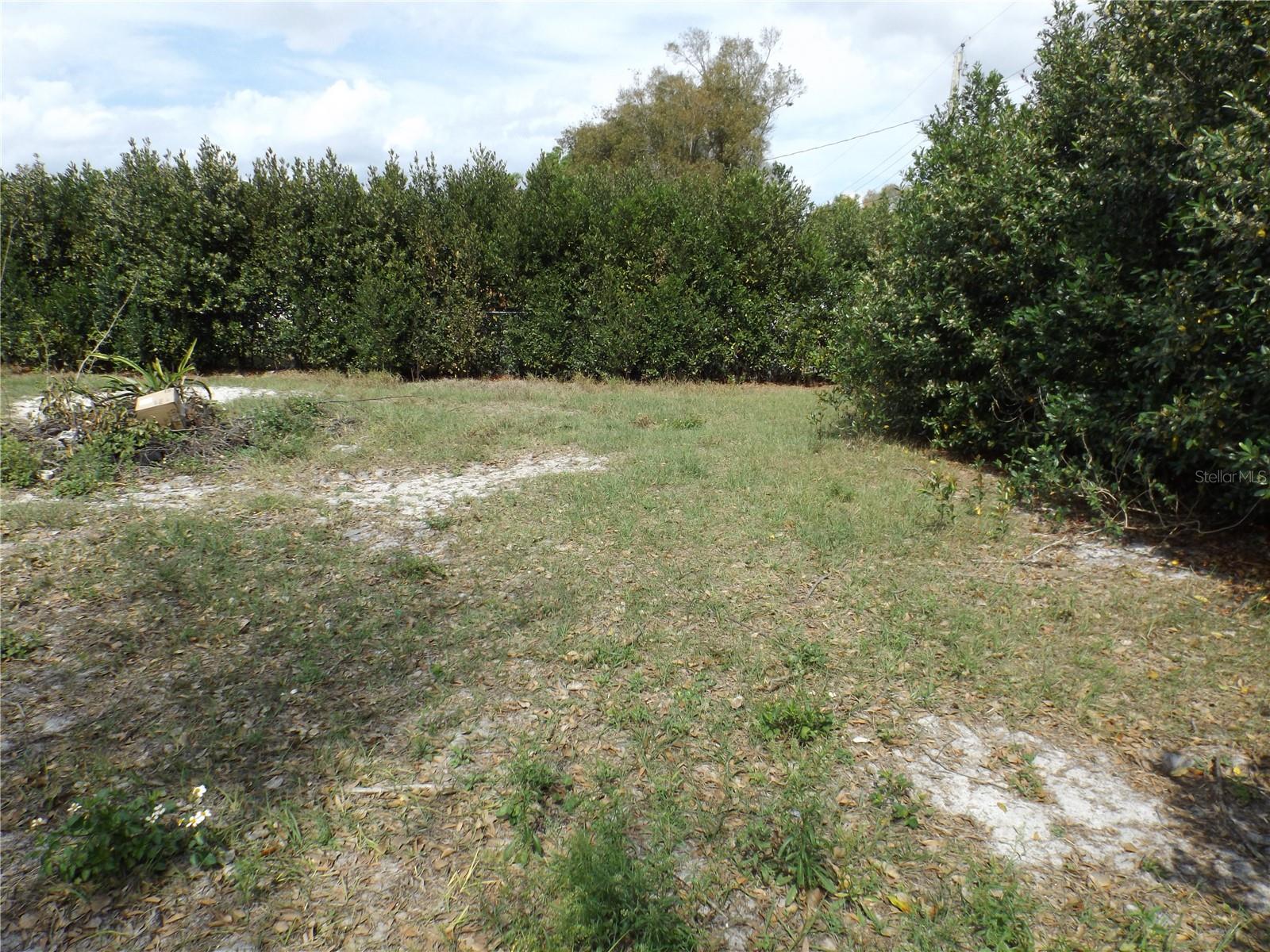 4801 Avon St Property Photo 10