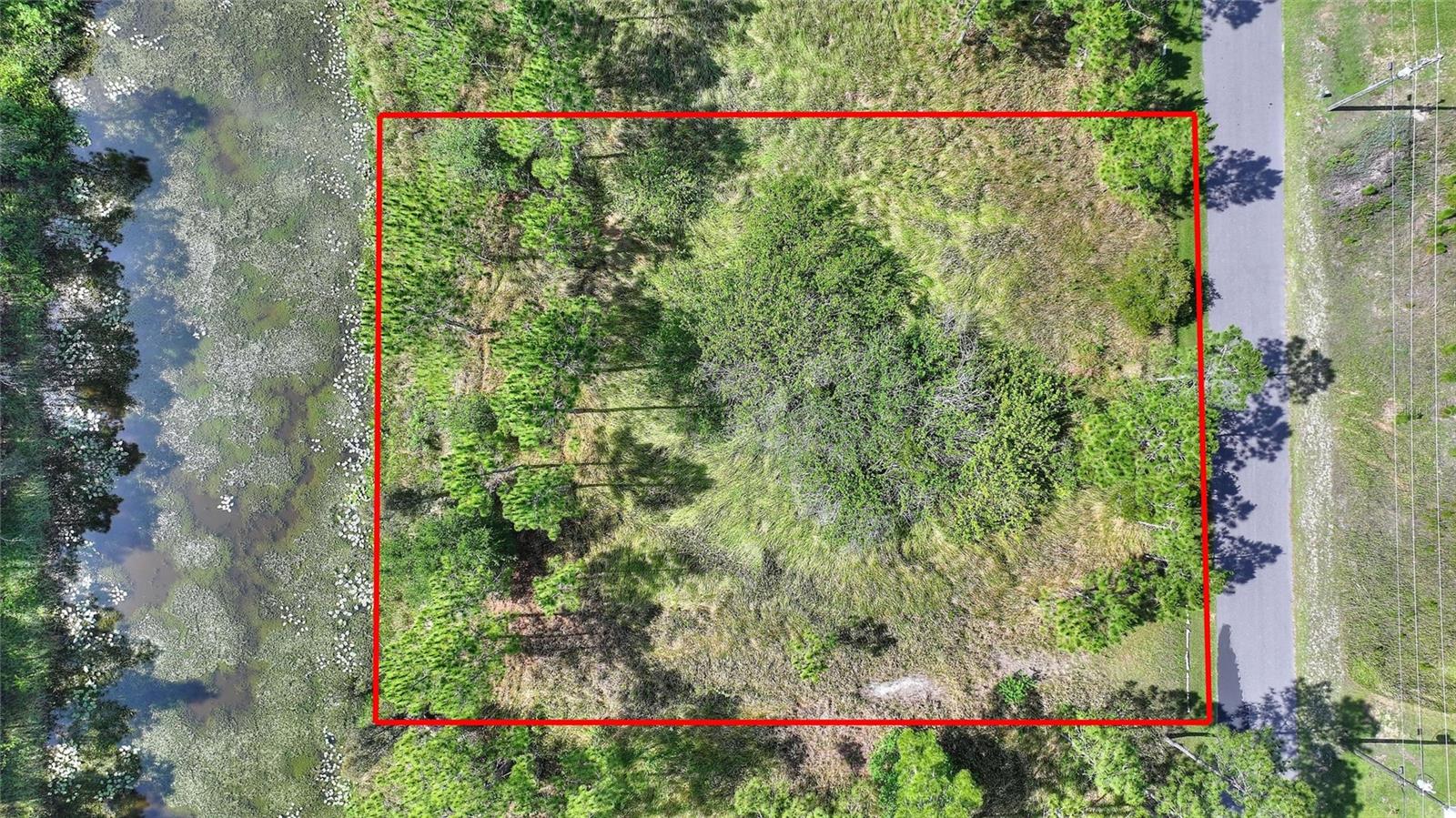 26 Lantana Dr S Property Photo 2