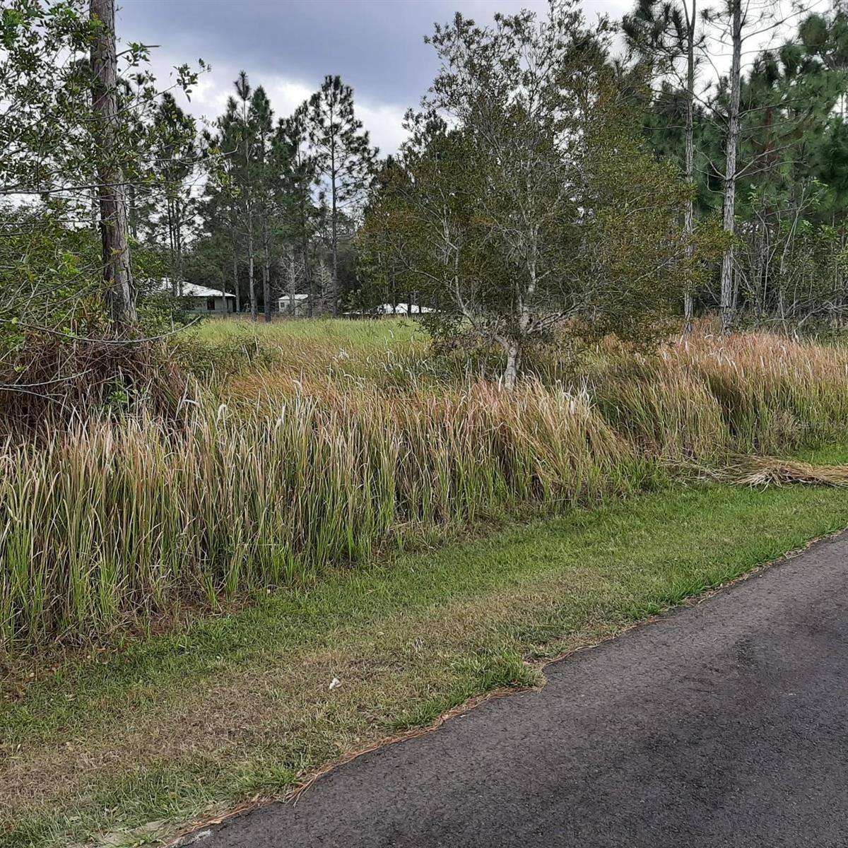 26 Lantana Dr S Property Photo 4