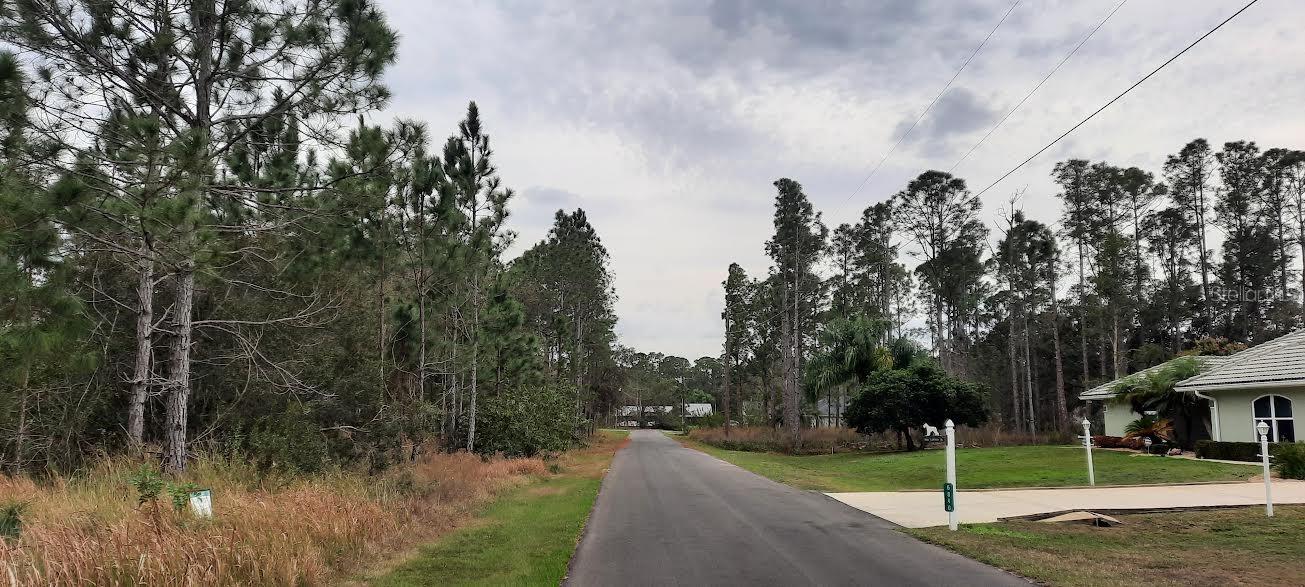 26 Lantana Dr S Property Photo 12