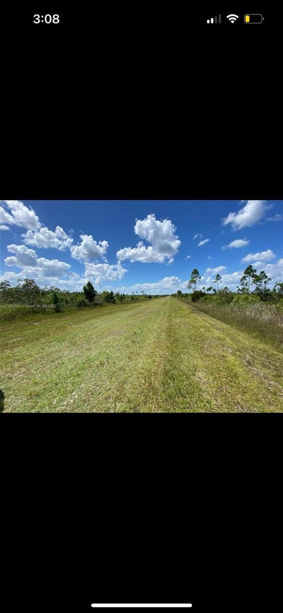 313 CALENDULA DR Property Photo 1