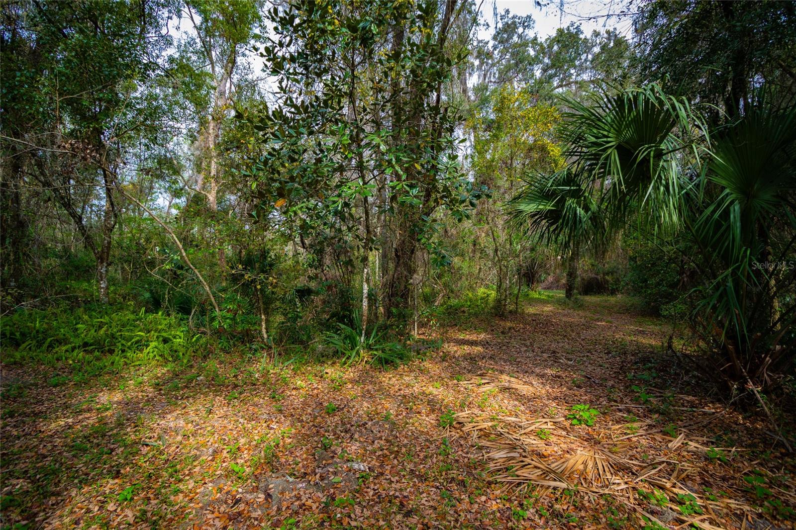 7822 Cr 647 Property Photo 4