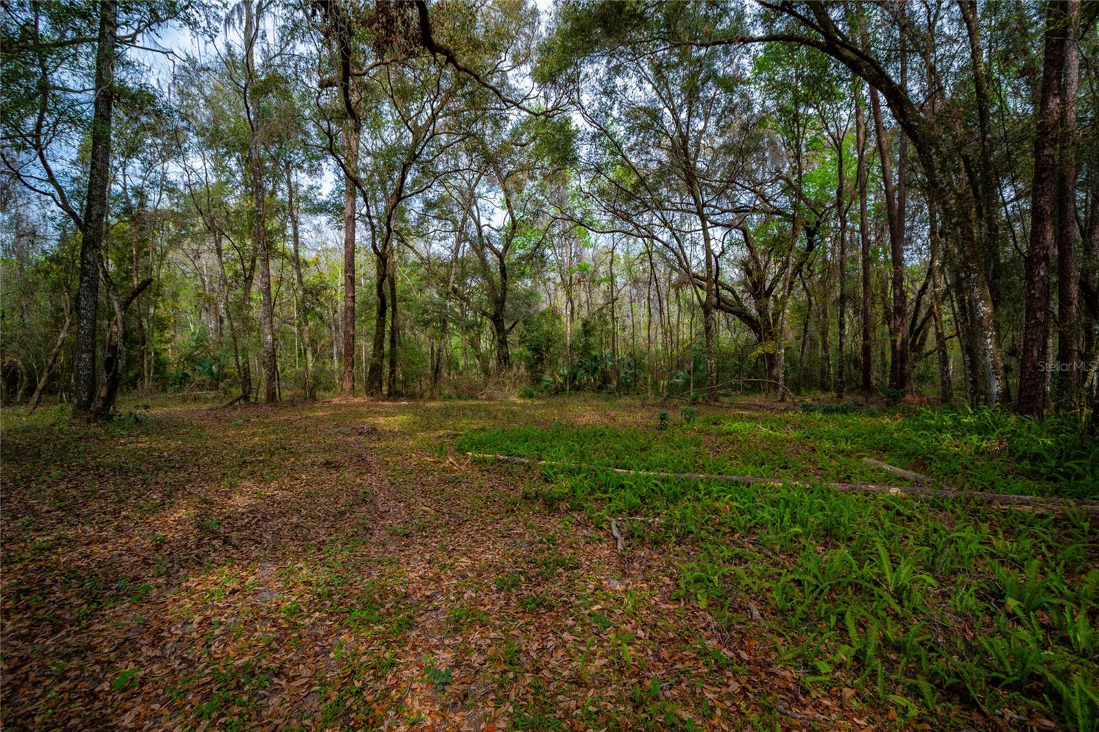 7822 Cr 647 Property Photo 10