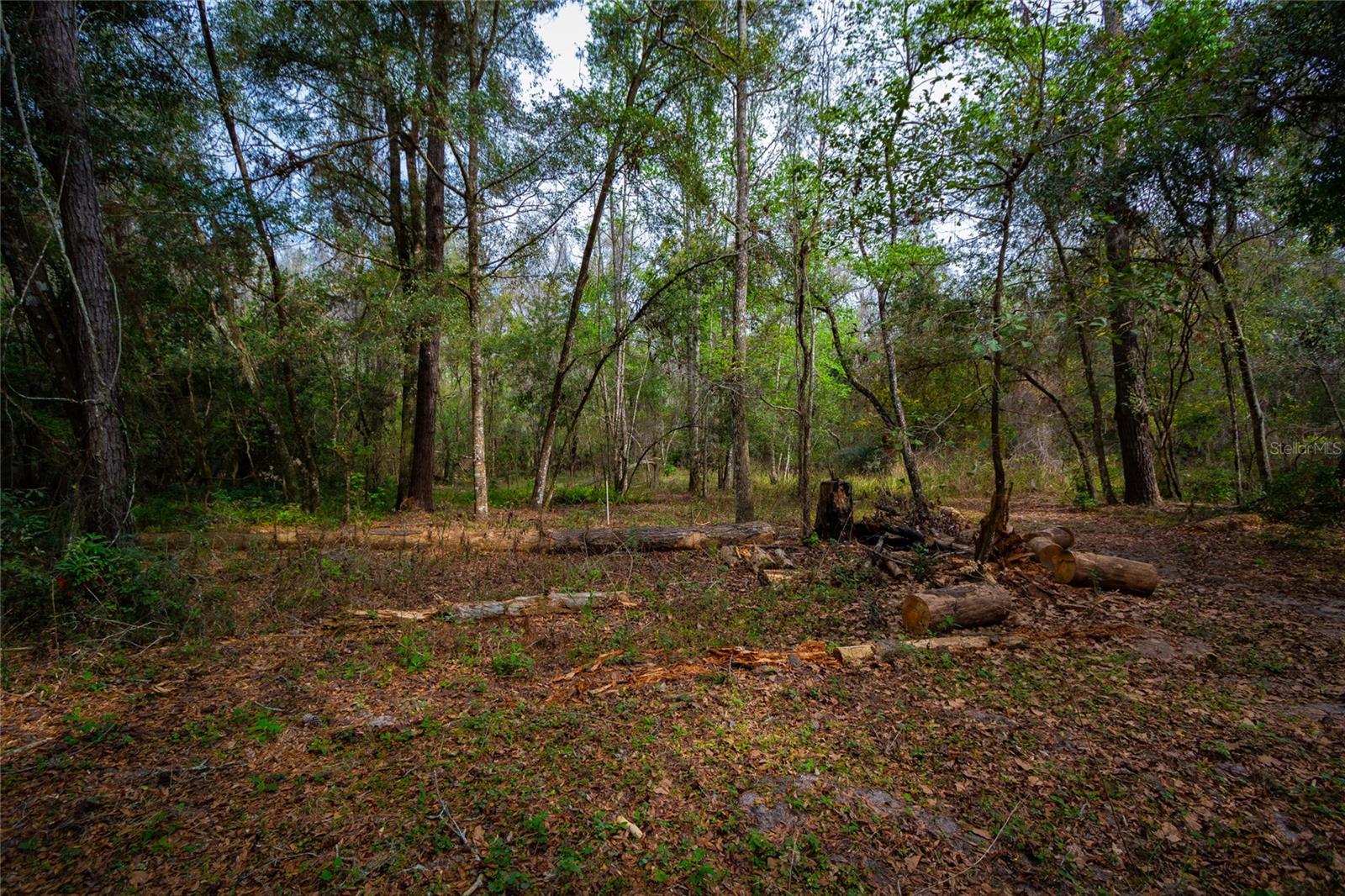 7822 Cr 647 Property Photo 17