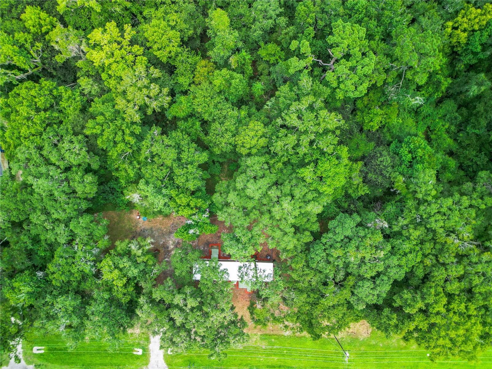 13026 Sw Williston Rd Property Photo 25