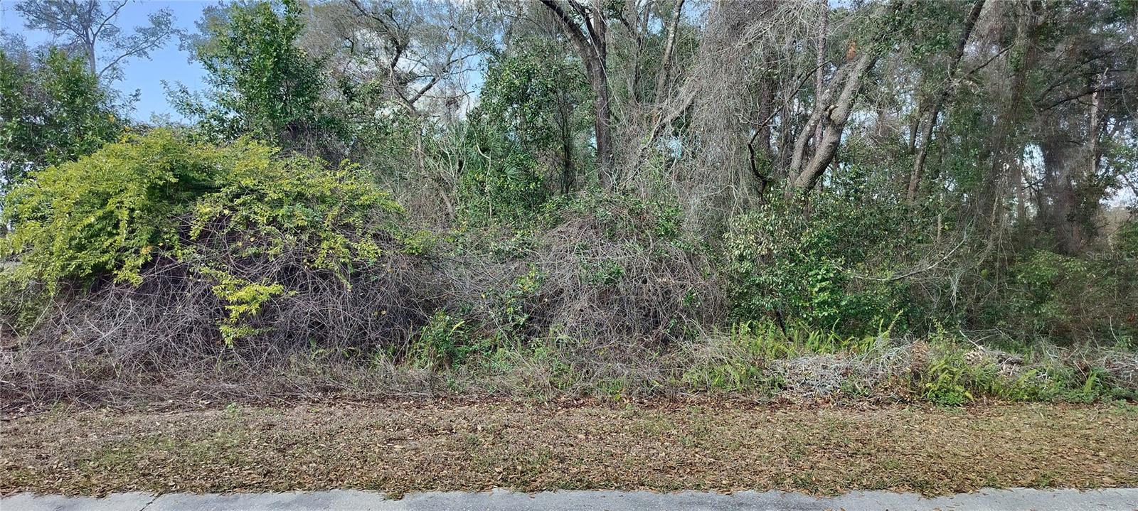 204 ADELPHI ST Property Photo 1