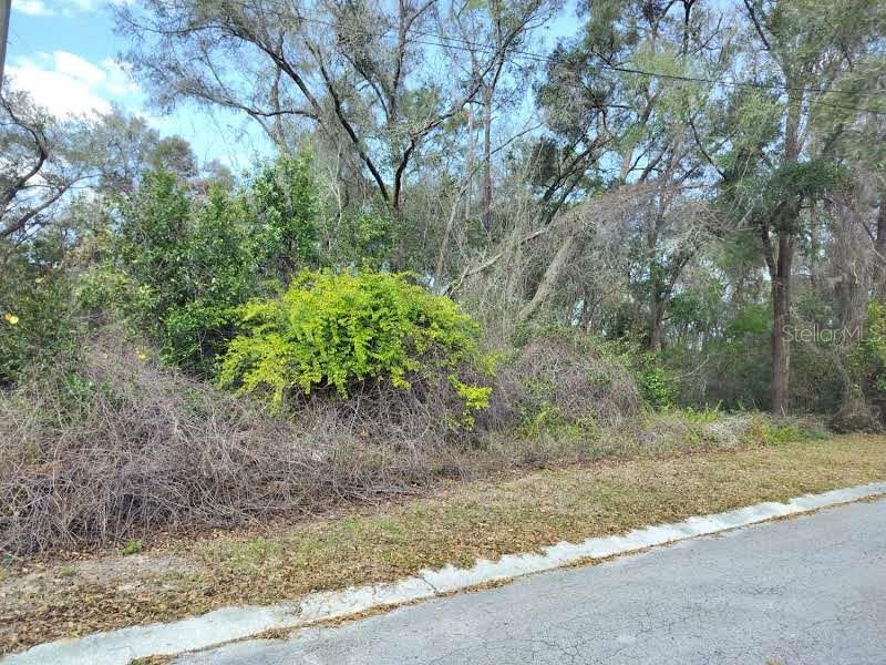 204 Adelphi St Property Photo 4