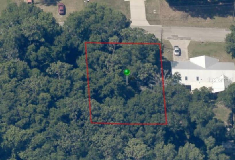 204 Adelphi St Property Photo 8