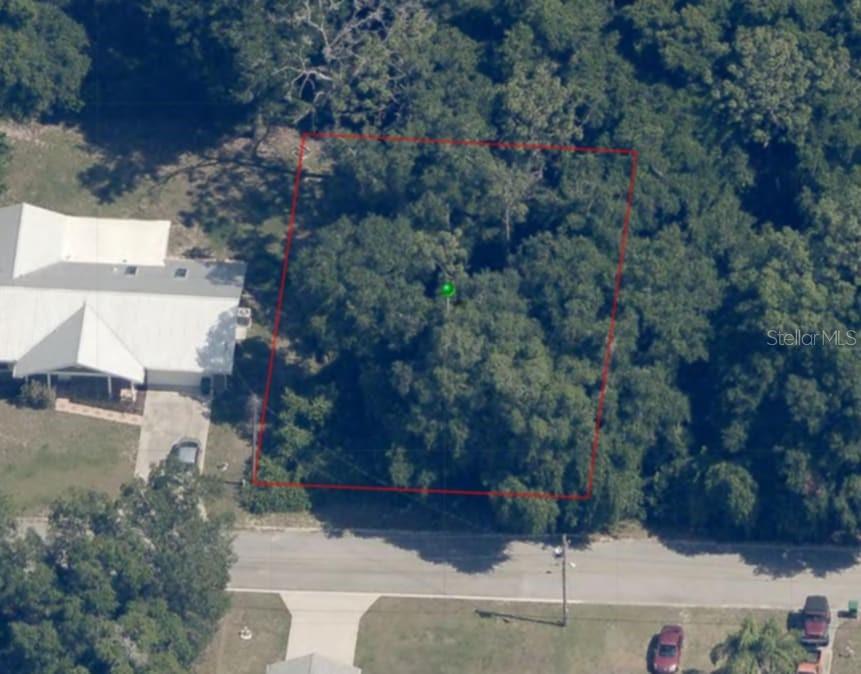 204 Adelphi St Property Photo 9