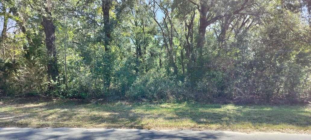 517 S Savary Ave Property Photo 1