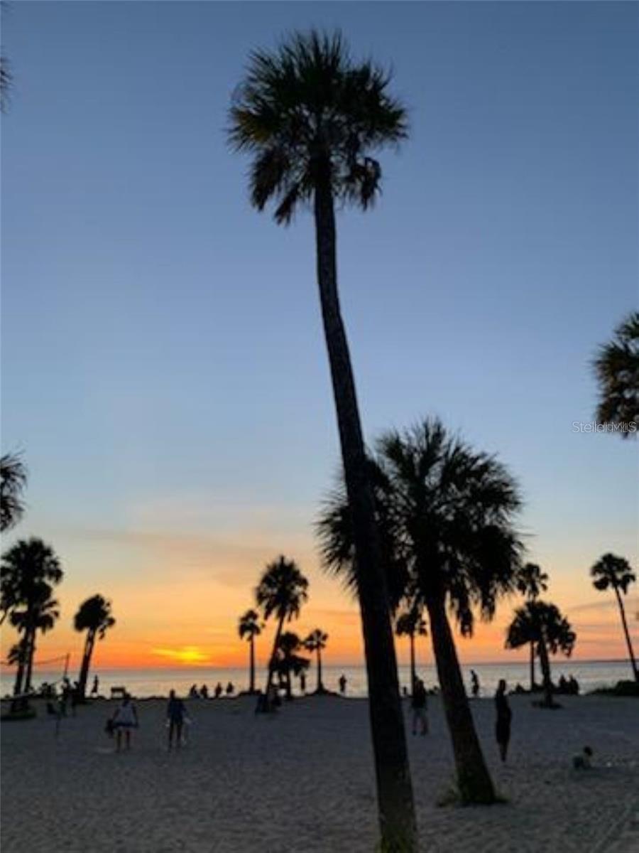 19 Drury Ln Property Photo 76