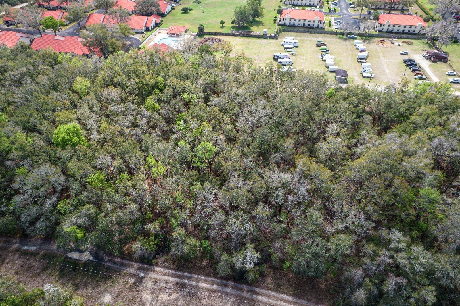 2215 Bluegrass St Property Photo 3