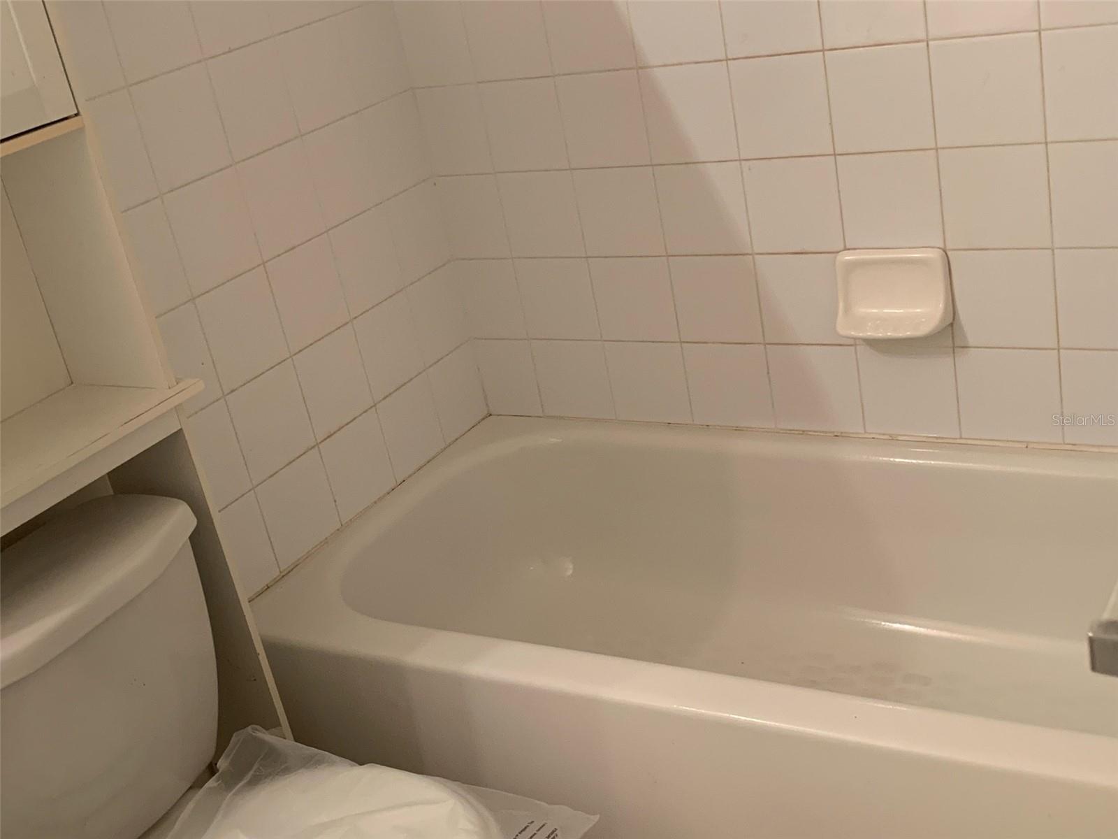 12403 Hibiscus Oak Pl #202 Property Photo 34