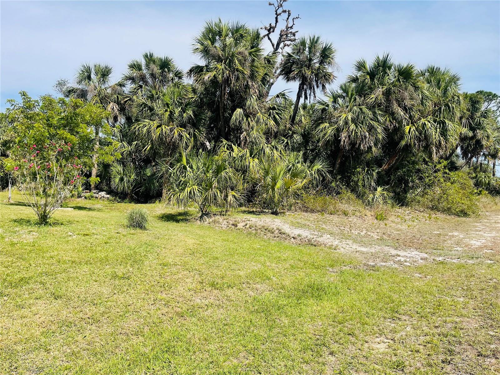 Conus Ave Property Photo 1