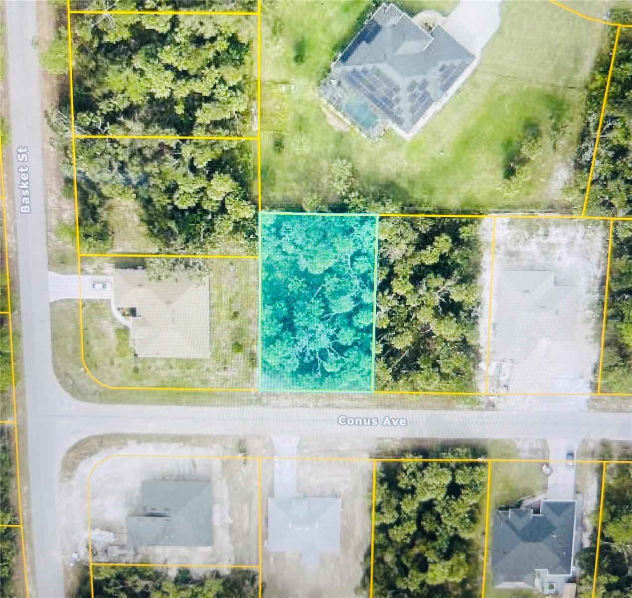 Conus Ave Property Photo 2