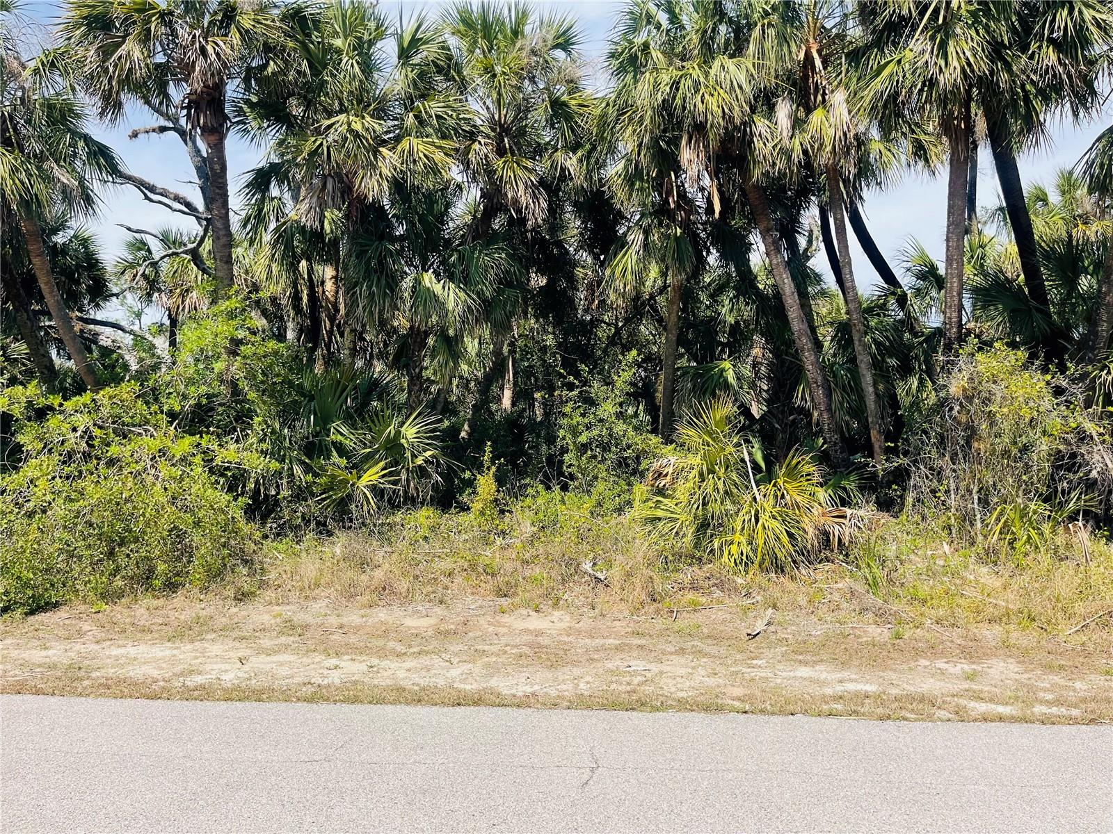Conus Ave Property Photo 3