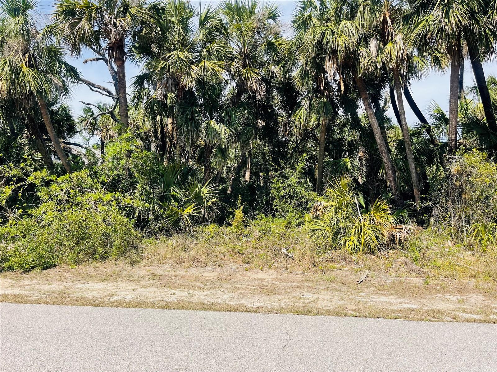 Conus Ave Property Photo 5