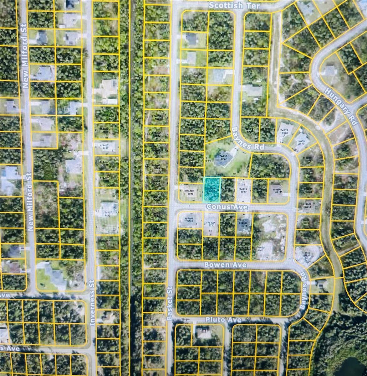 Conus Ave Property Photo 12