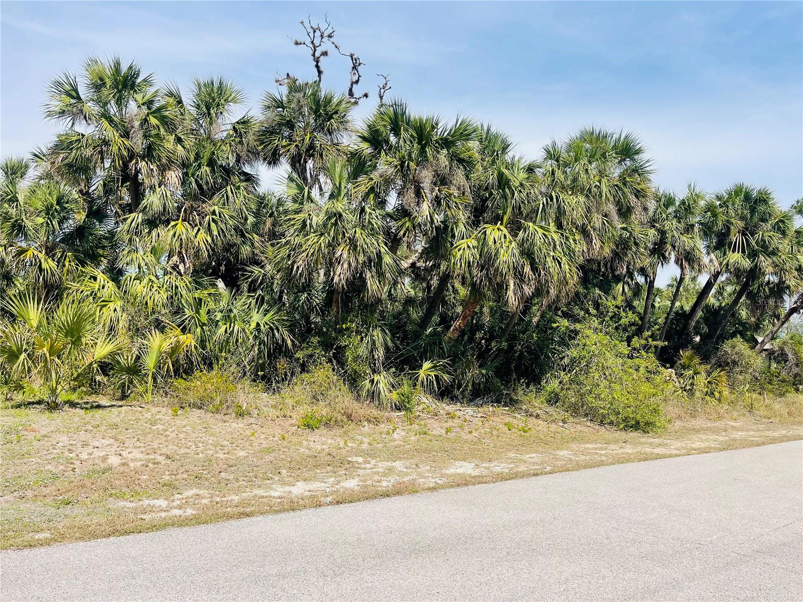 Conus Ave Property Photo 13