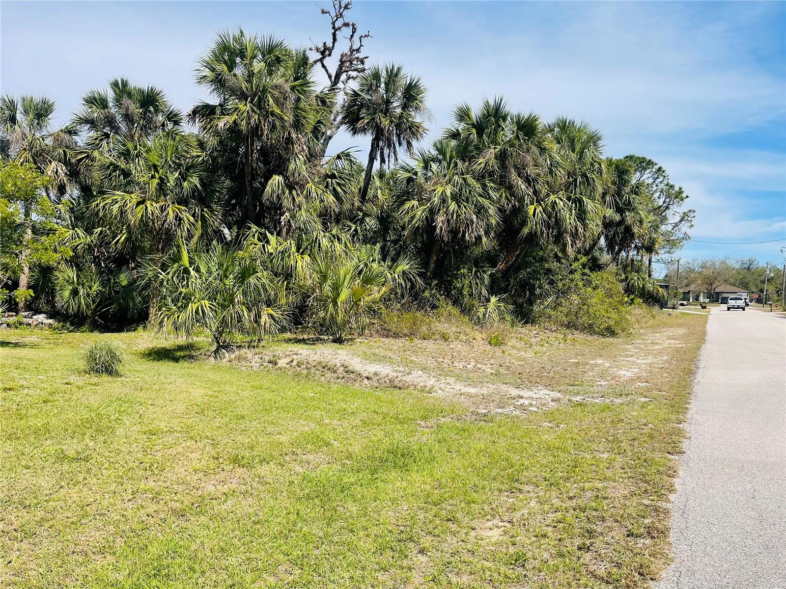 Conus Ave Property Photo 17
