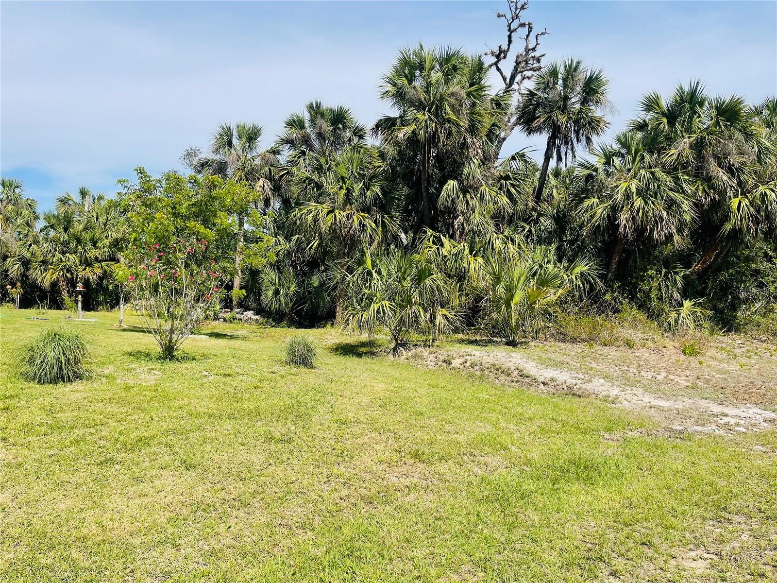 Conus Ave Property Photo 18