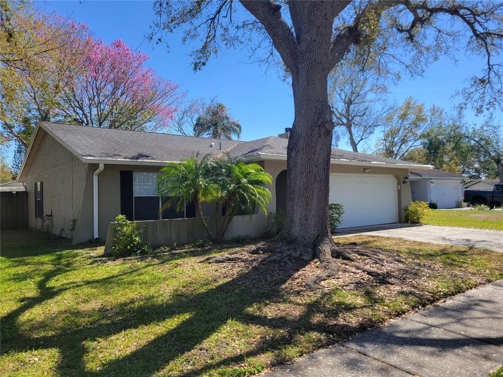 11609 Shady Tree Pl Property Photo