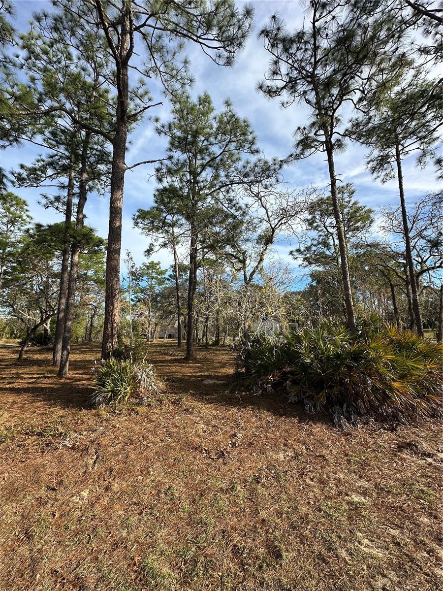 2 Barkwood Pt Property Photo
