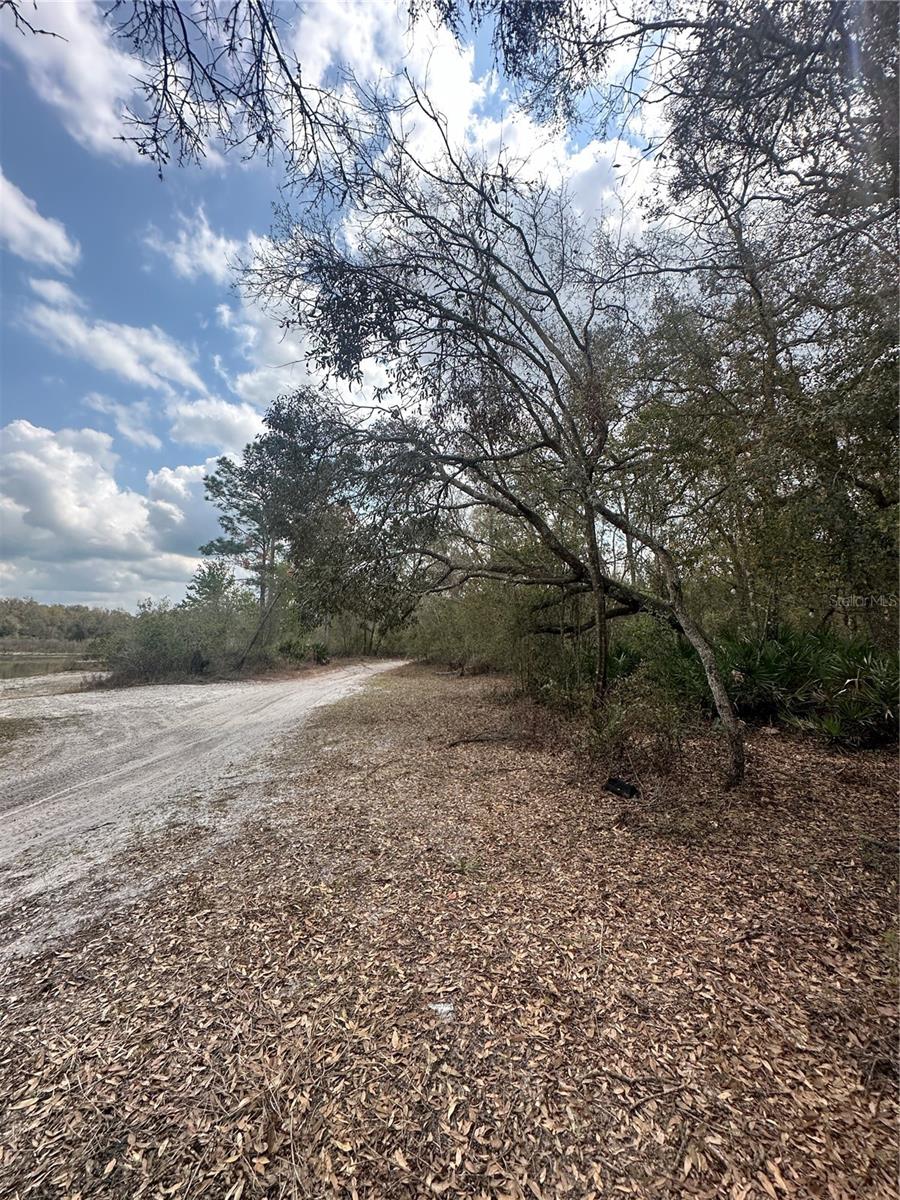 9076 Realstone Dr Property Photo 2