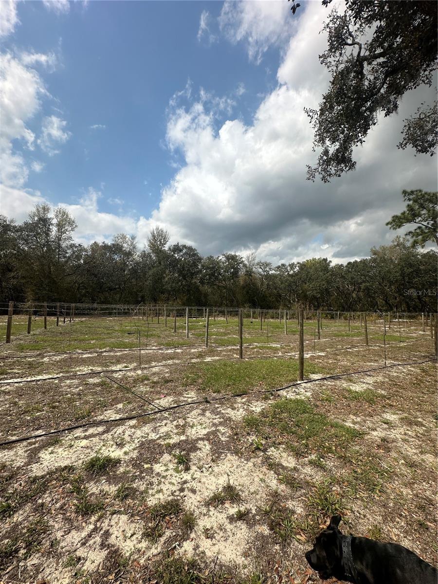 9095 Realstone Dr Property Photo 1