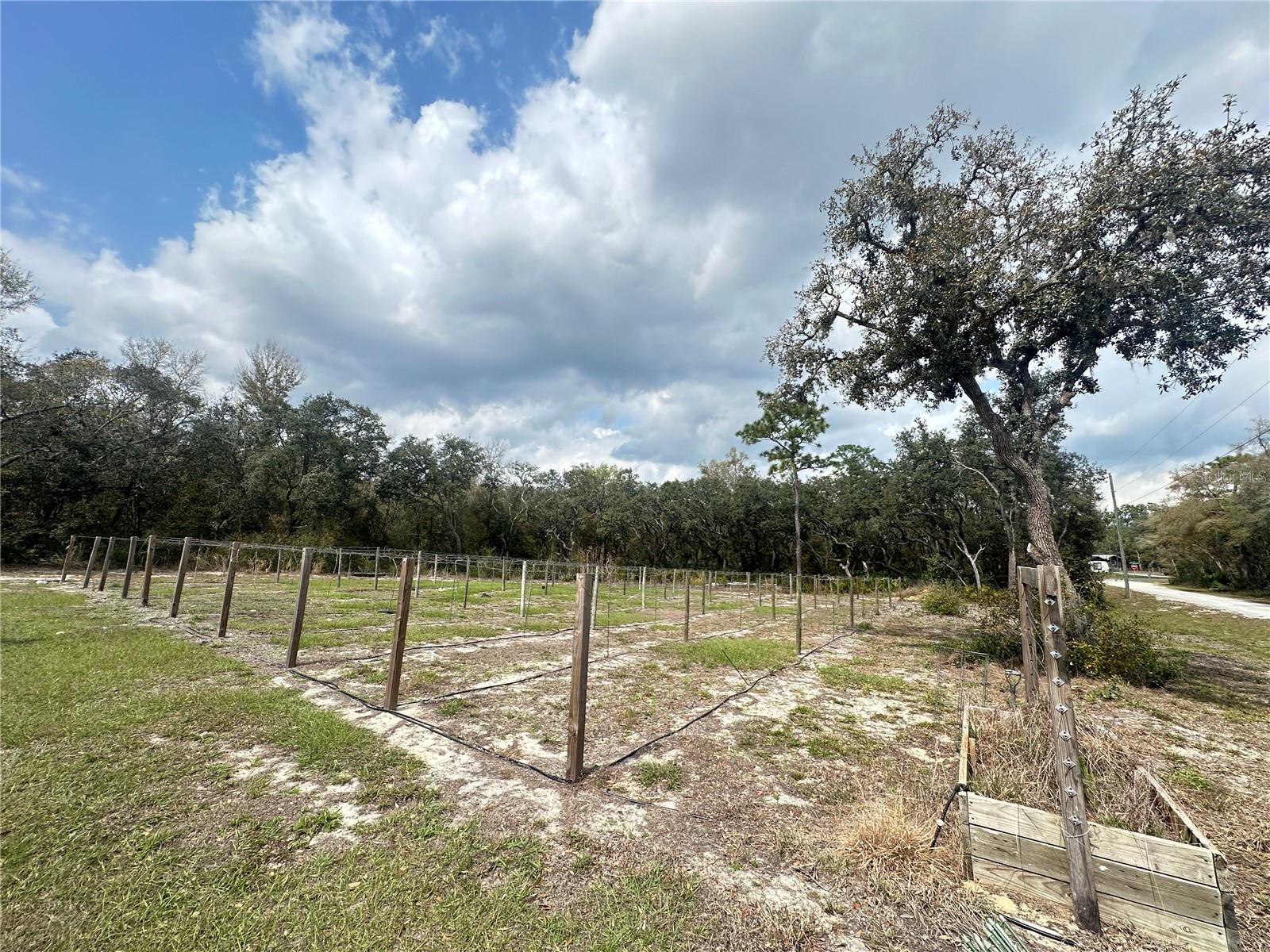 9095 Realstone Dr Property Photo 2