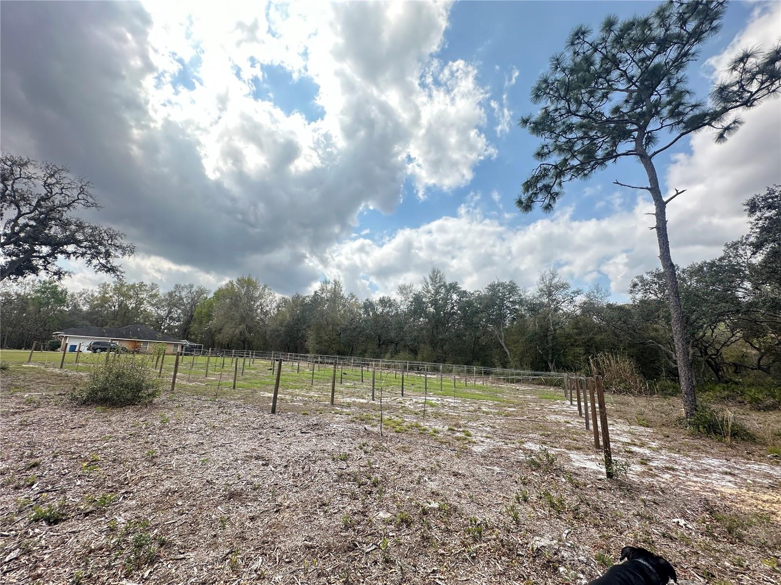 9095 Realstone Dr Property Photo 3