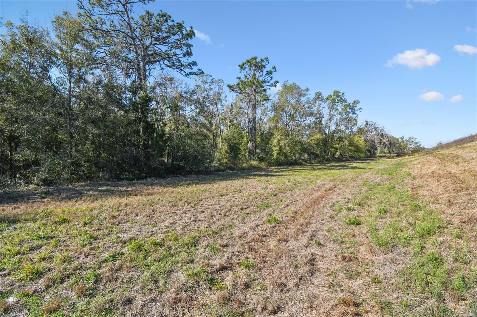 14420 Bailey Hill Rd Property Photo 3