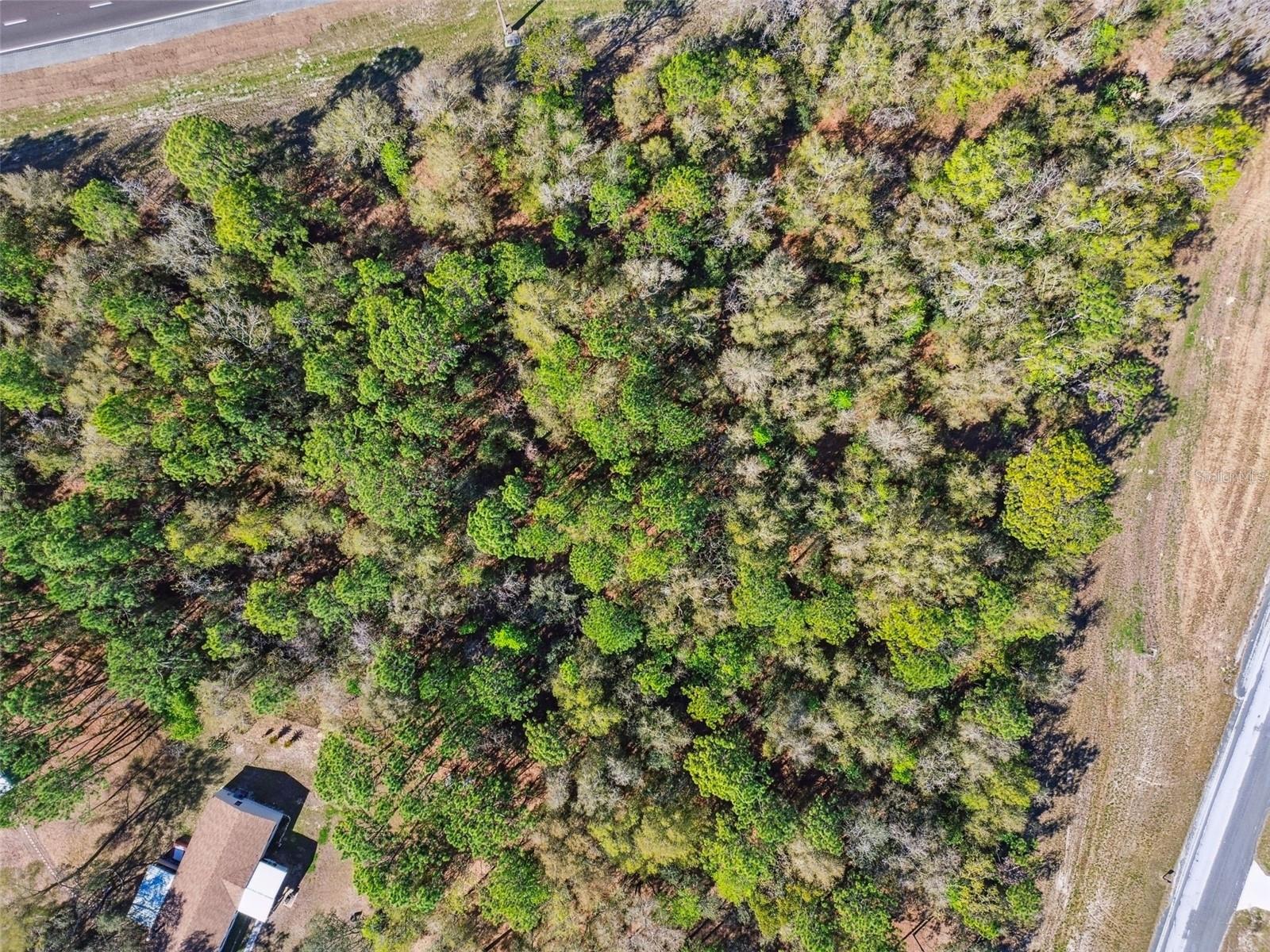 14420 Bailey Hill Rd Property Photo 5