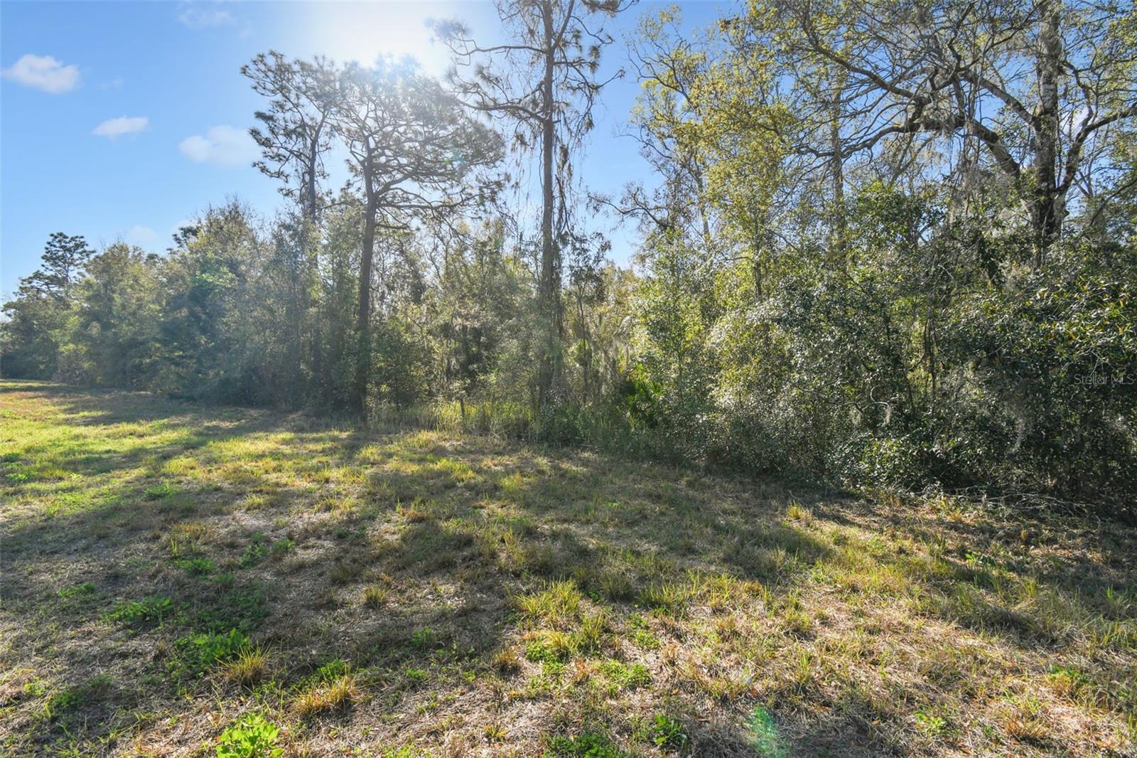 14420 Bailey Hill Rd Property Photo 8
