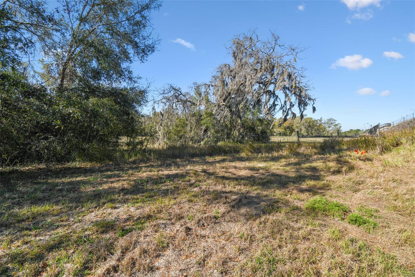 14420 Bailey Hill Rd Property Photo 12