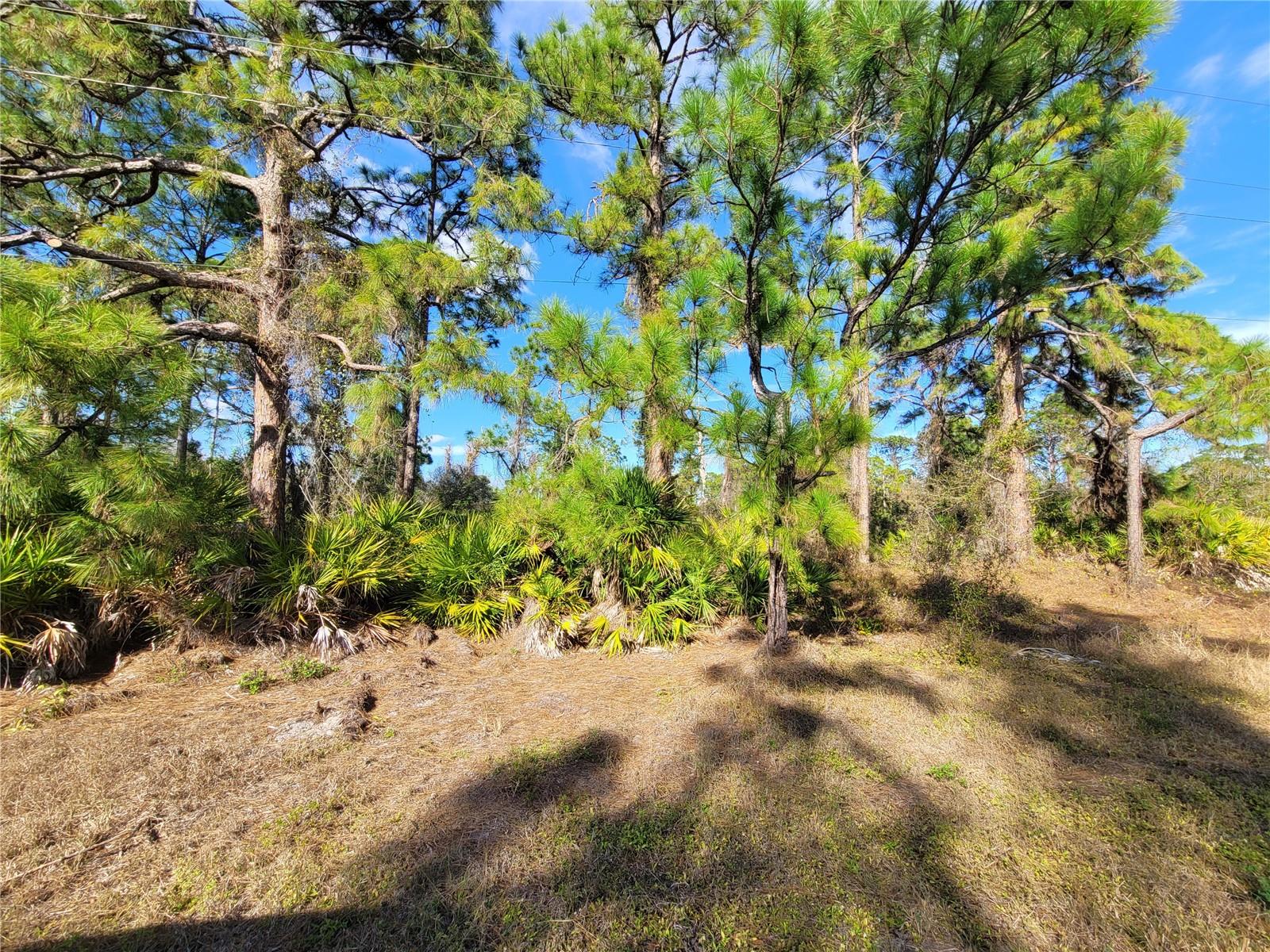 236 Pinola Ave S Property Photo 5