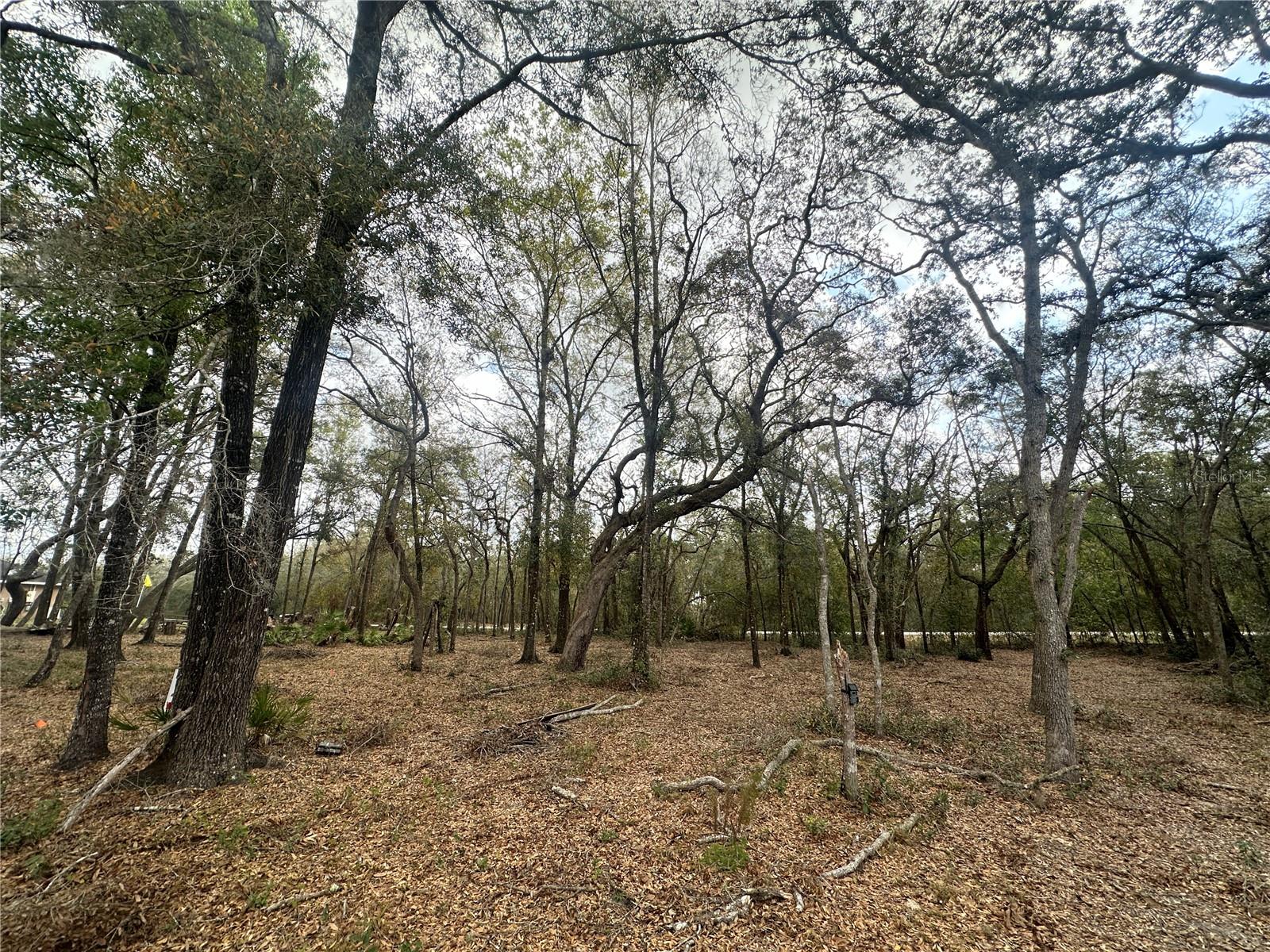 9035 Realstone Dr Property Photo 1