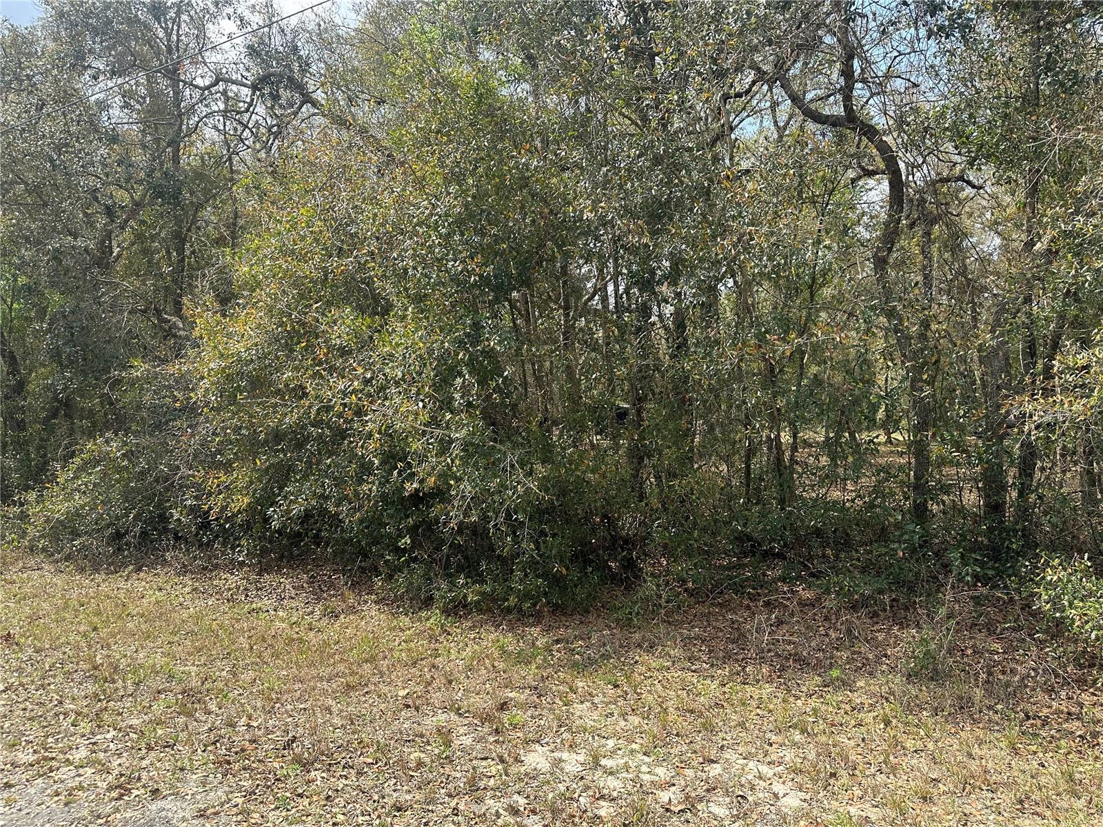 9035 Realstone Dr Property Photo 3