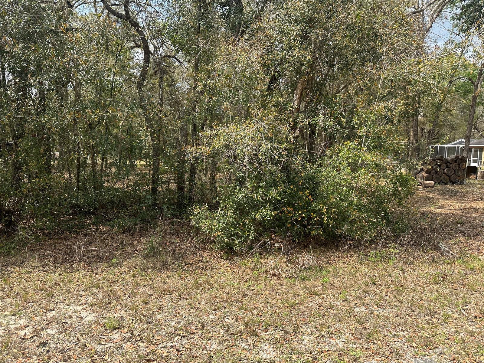 9035 Realstone Dr Property Photo 4