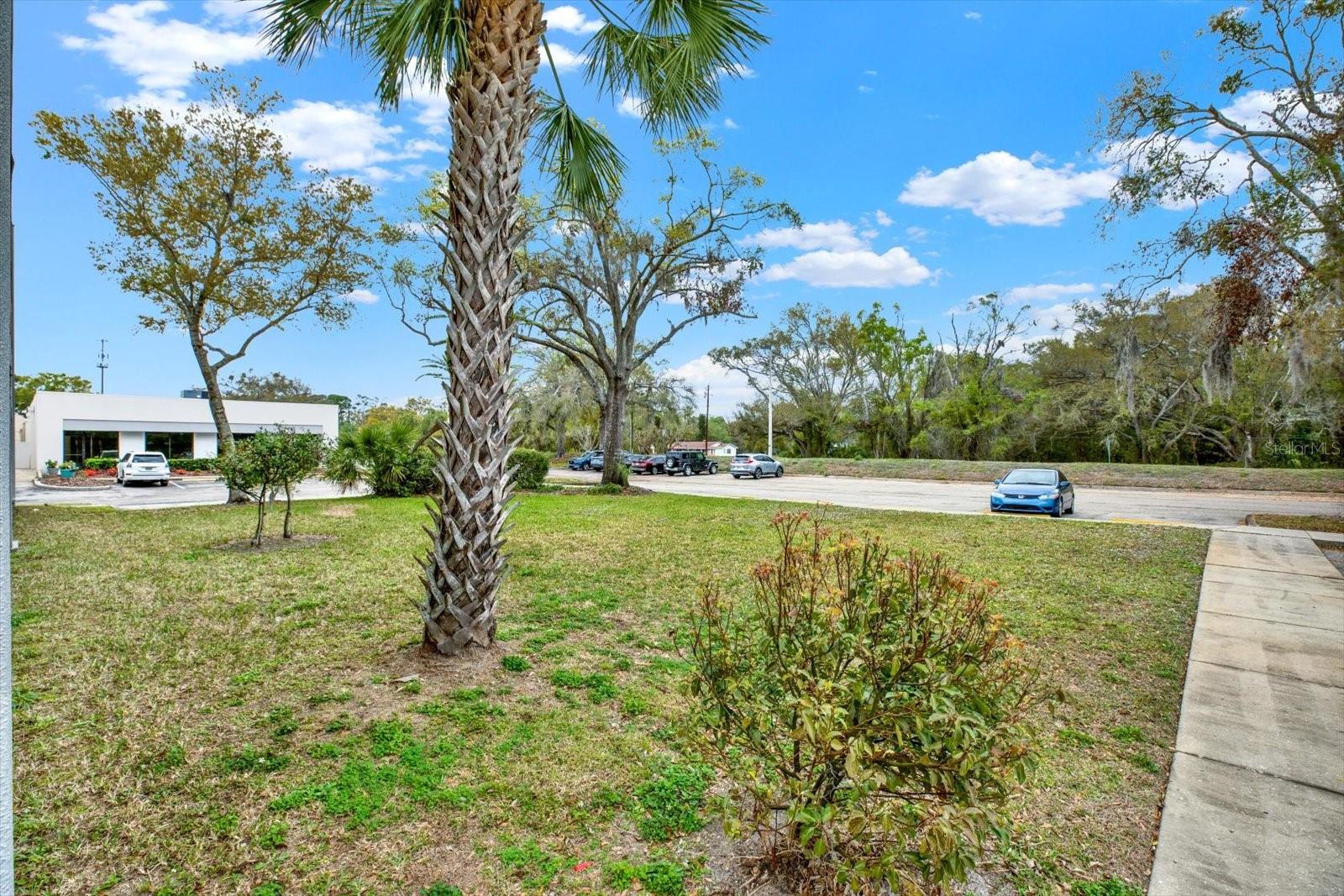 13153 N Dale Mabry Hwy Property Photo 30