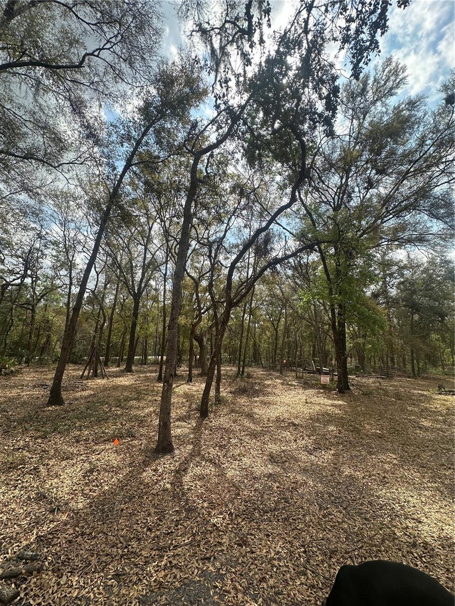 9048 Top Rock Dr Property Photo 1