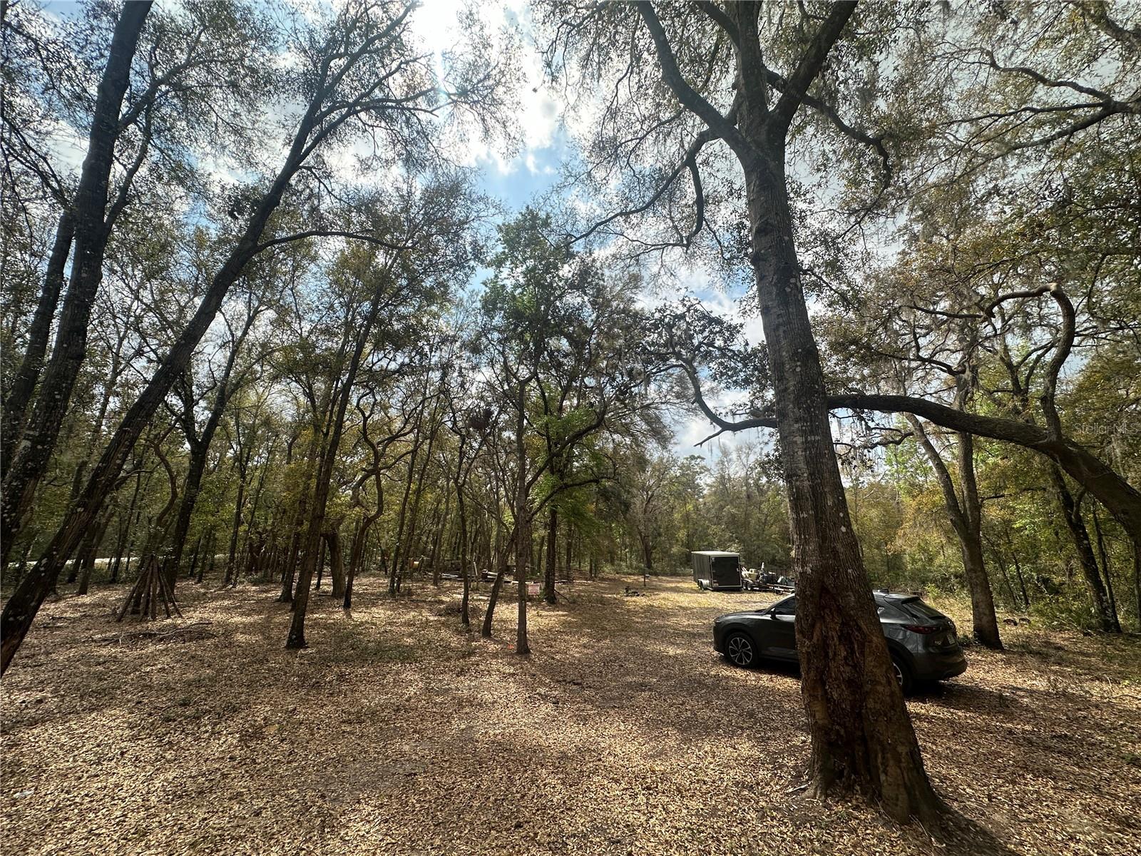 9048 Top Rock Dr Property Photo 3
