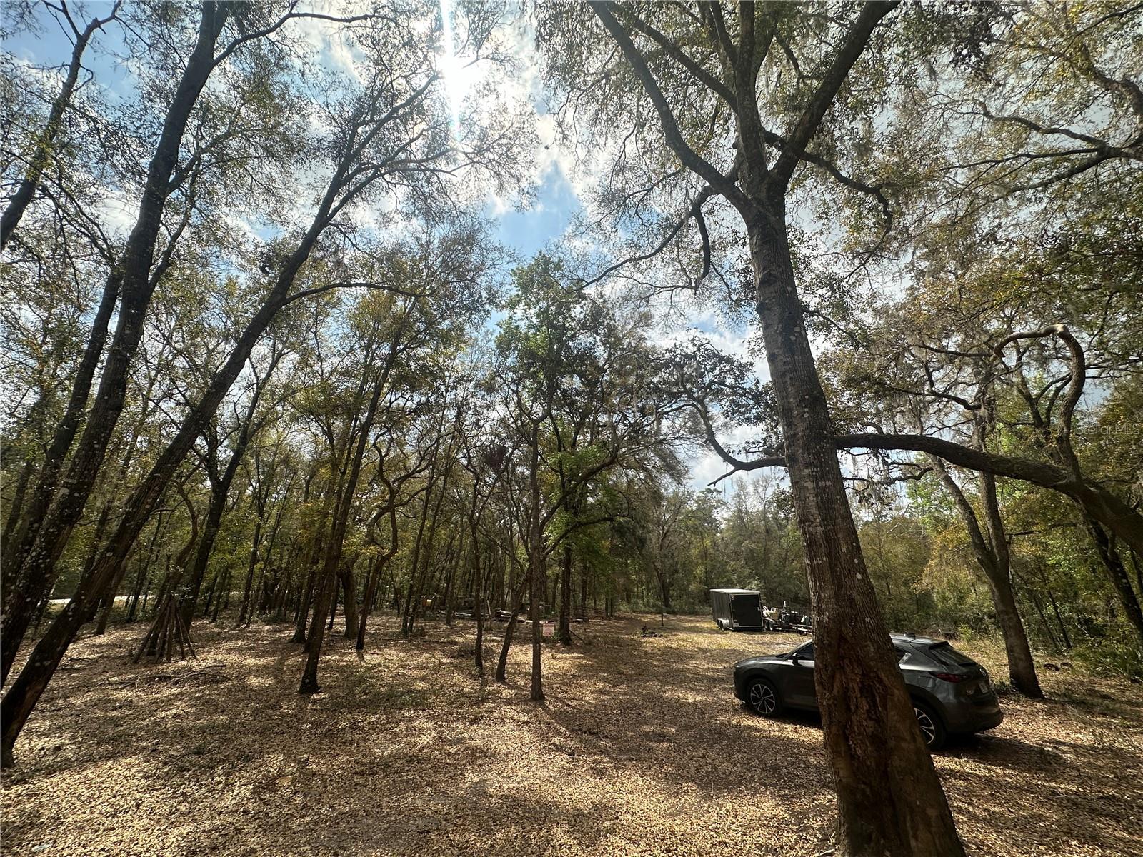 9048 Top Rock Dr Property Photo 4