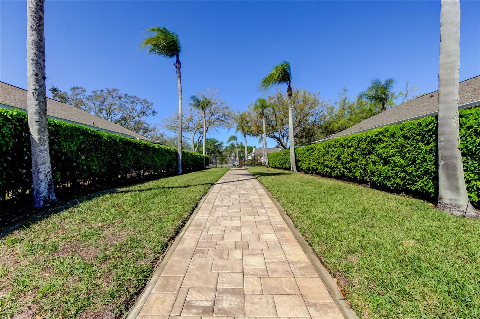 4702 Corsage Dr Property Photo 41