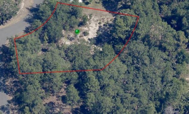 33 Waxmyrtle Ct Property Photo 2