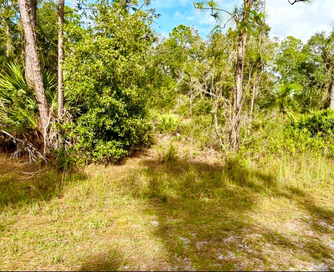 Oleander Dr Property Photo