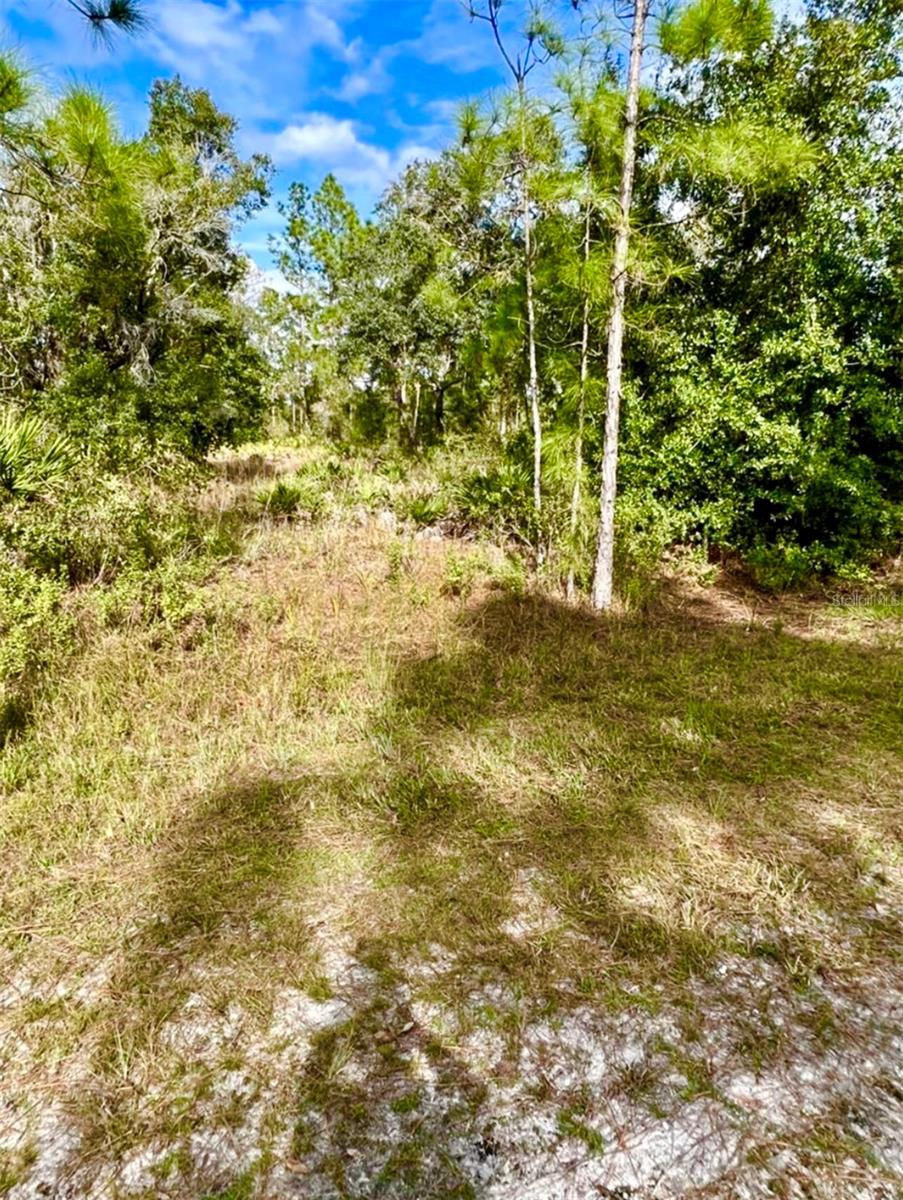 Oleander Dr Property Photo 2