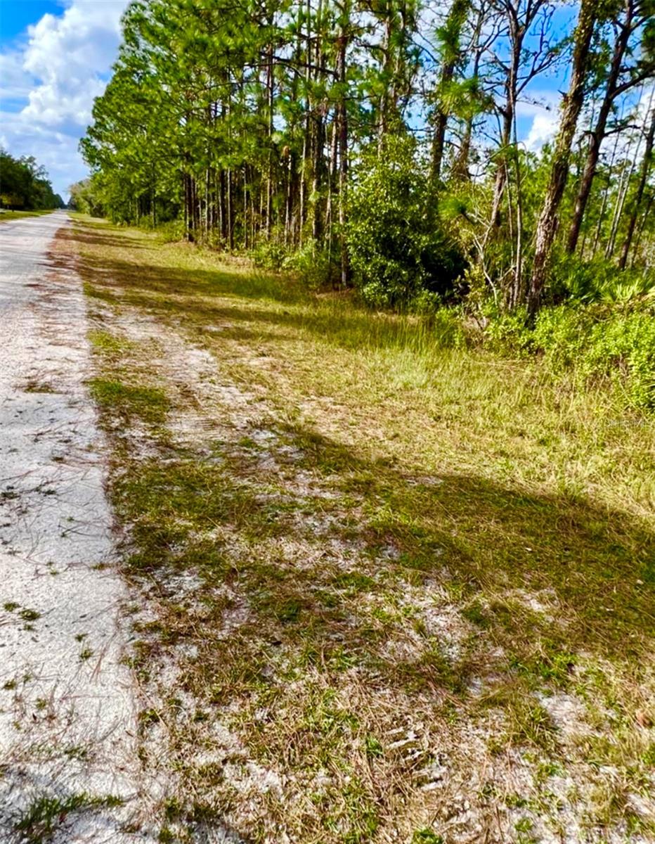 Oleander Dr Property Photo 3